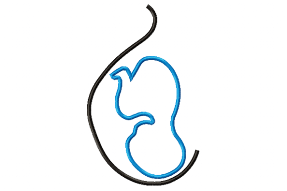 Pregnancy Applique: An Embroidery Designer’s Real Review
